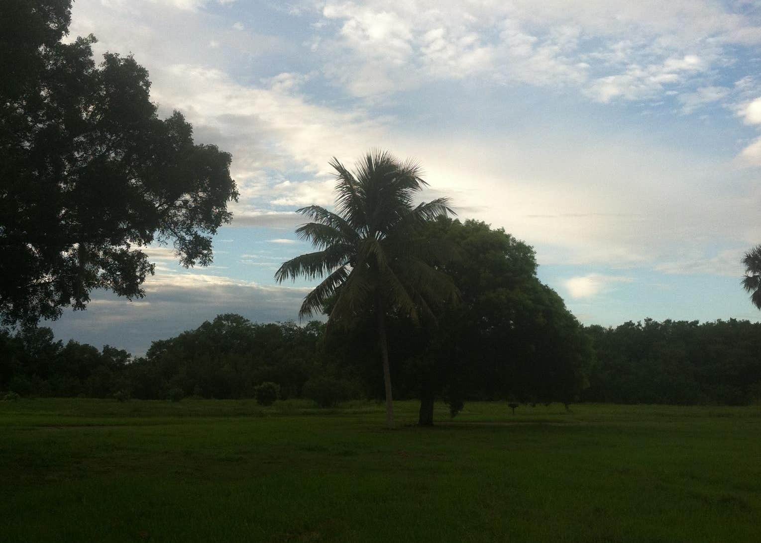 Backcountry Alligator Creek Everglades National Park Camping The Dyrt