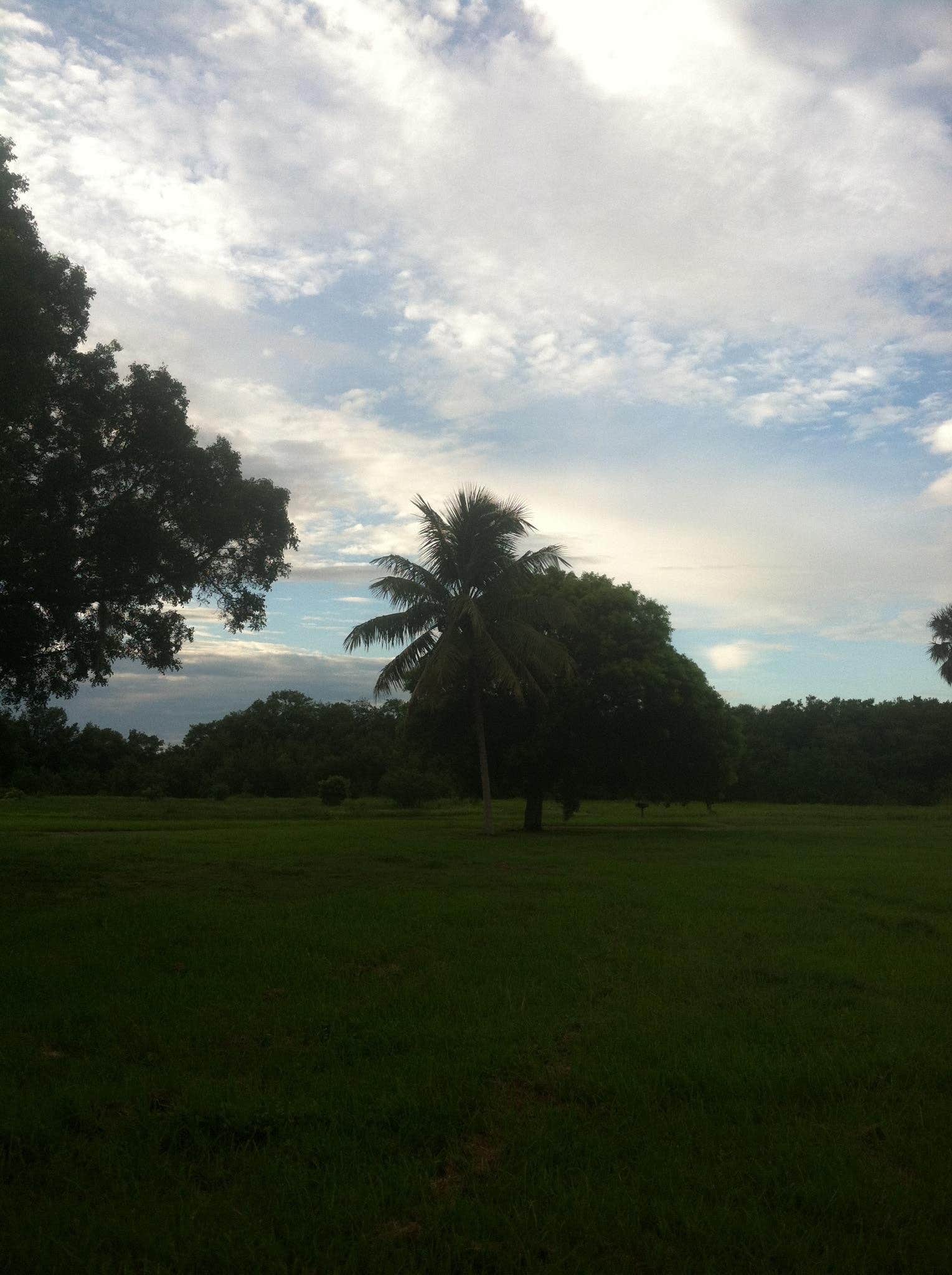 Camper submitted image from Backcountry Alligator Creek — Everglades National Park - 1