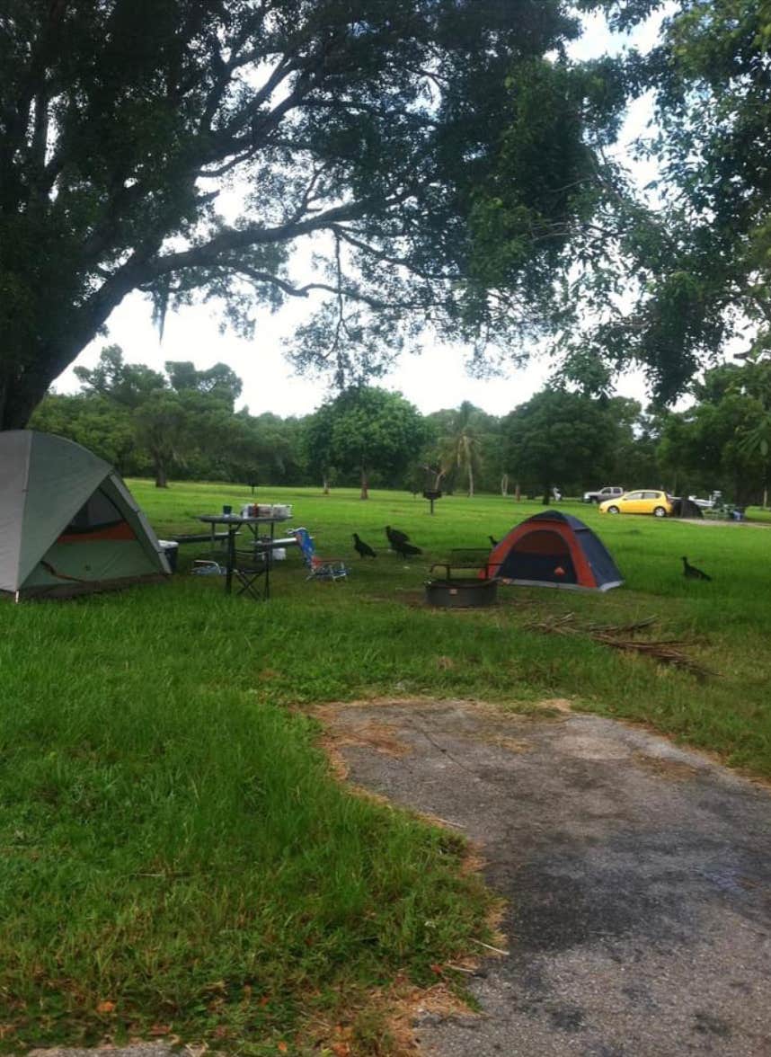 Rachael H.'s photo at Backcountry Alligator Creek — Everglades National Park near Everglades National Park