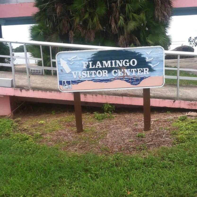 Backcountry Alligator Creek Everglades National Park Camping The Dyrt