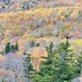 Review photo of Julian Price Park Campground — Blue Ridge Parkway by Rachael H., October 31, 2020