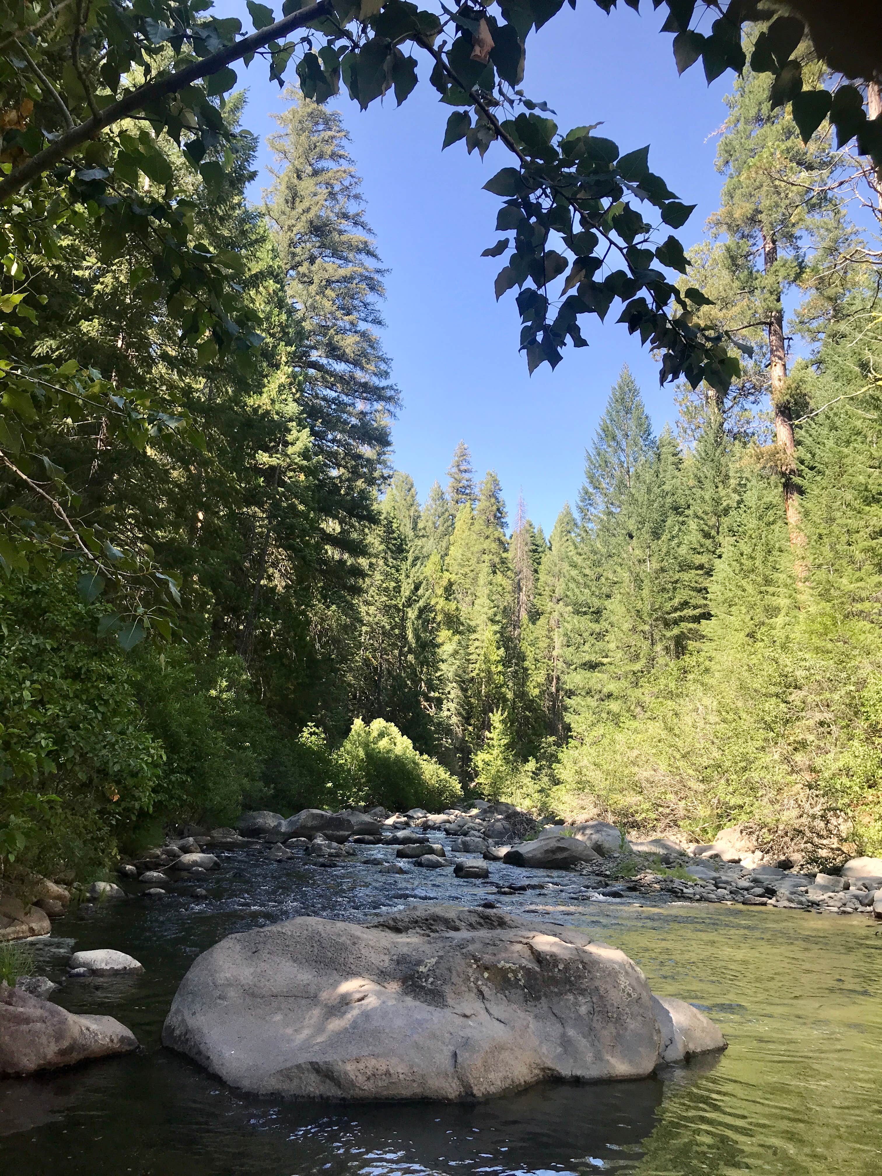 Camper submitted image from Mill Creek Resort - 5