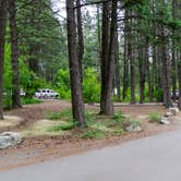 Review photo of Whitetail Campground — Farragut State Park by Amy S., October 31, 2020
