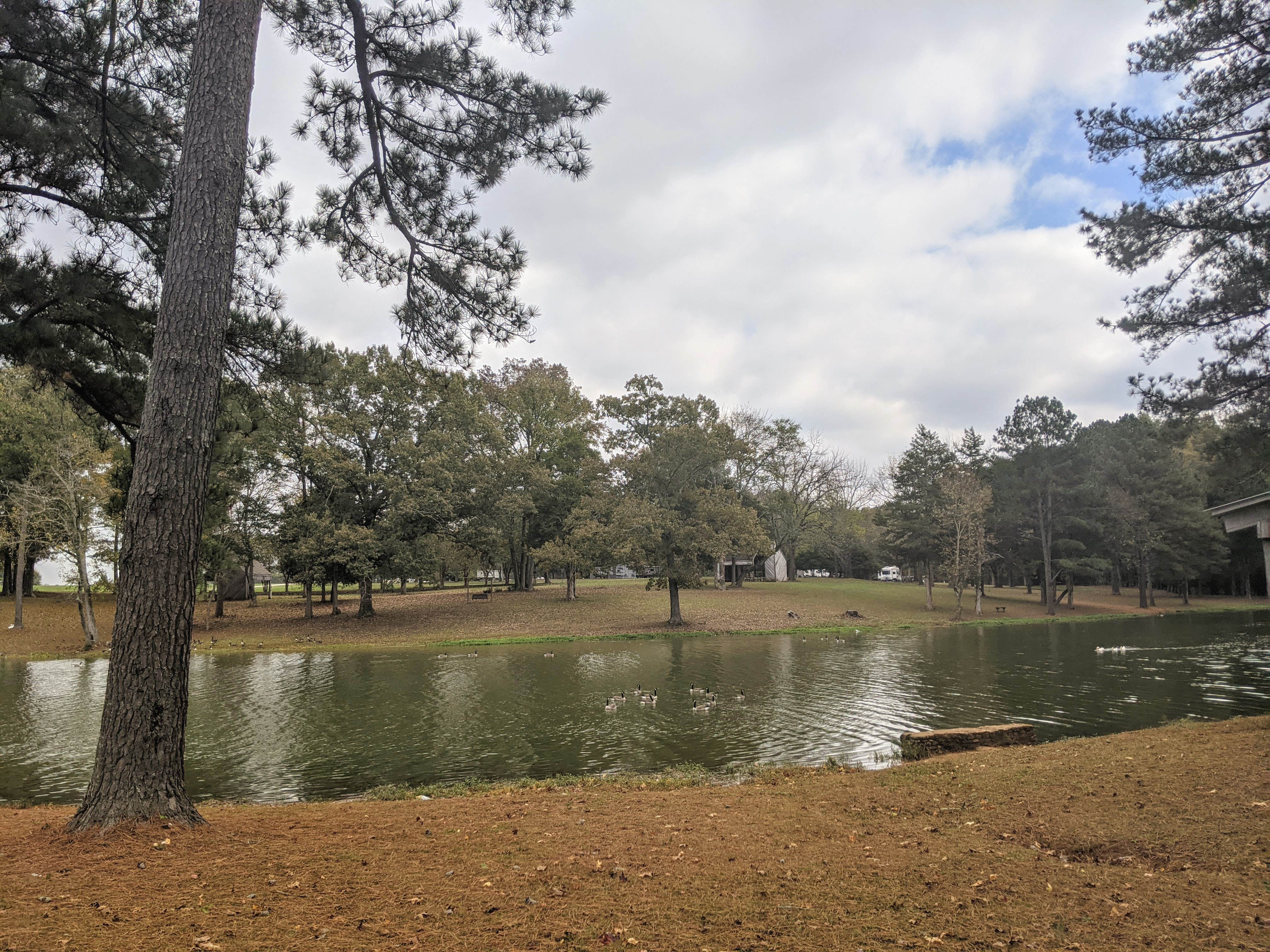 Camper-submitted photo at Sharon Johnston Park near Union Grove, AL