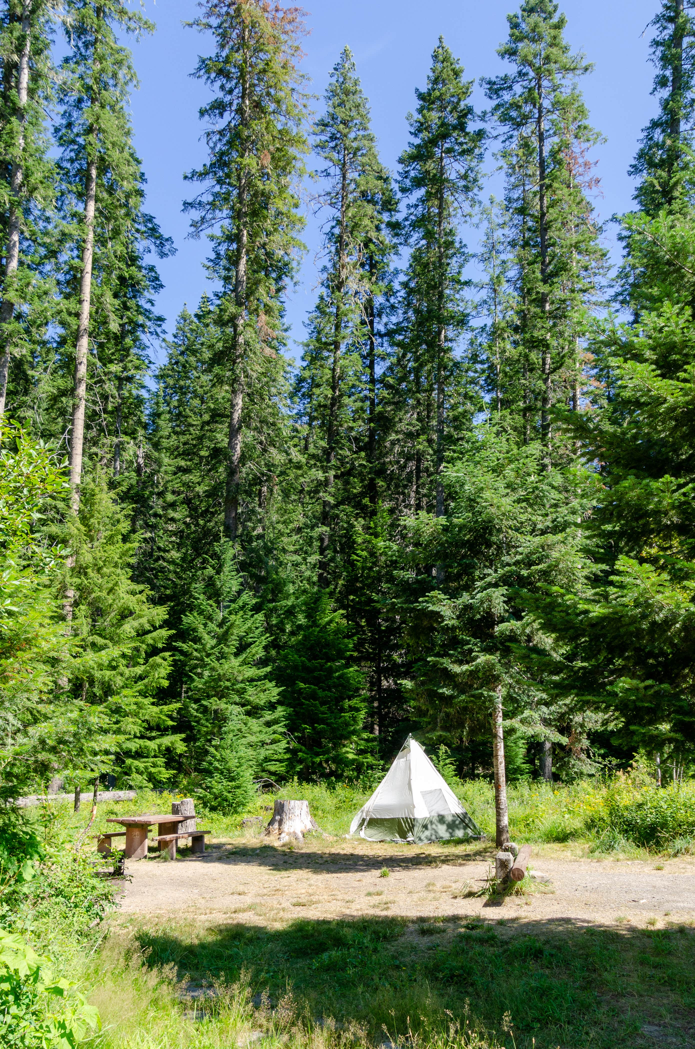 Amy S.'s photo at Bumblebee Campground near Mullan, ID