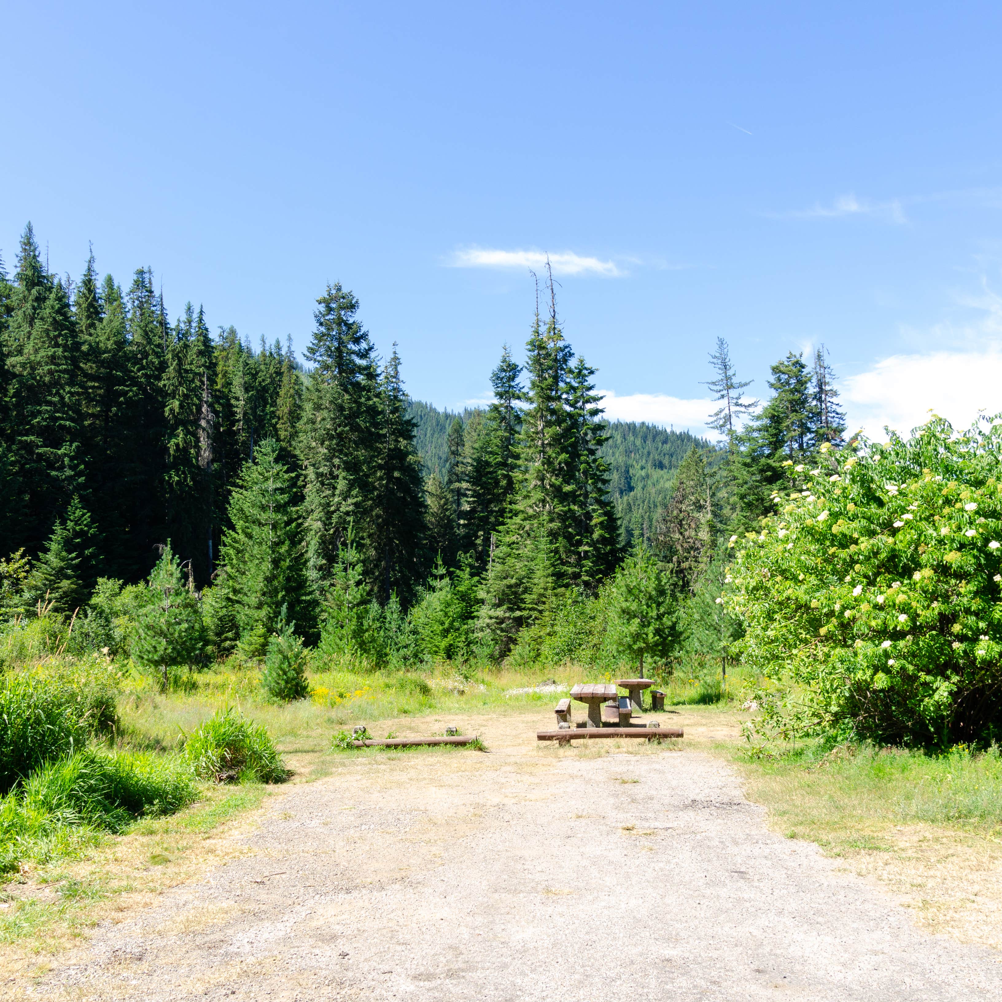 Buzzing With Adventure: A Look At Idaho’s Bumblebee Campground