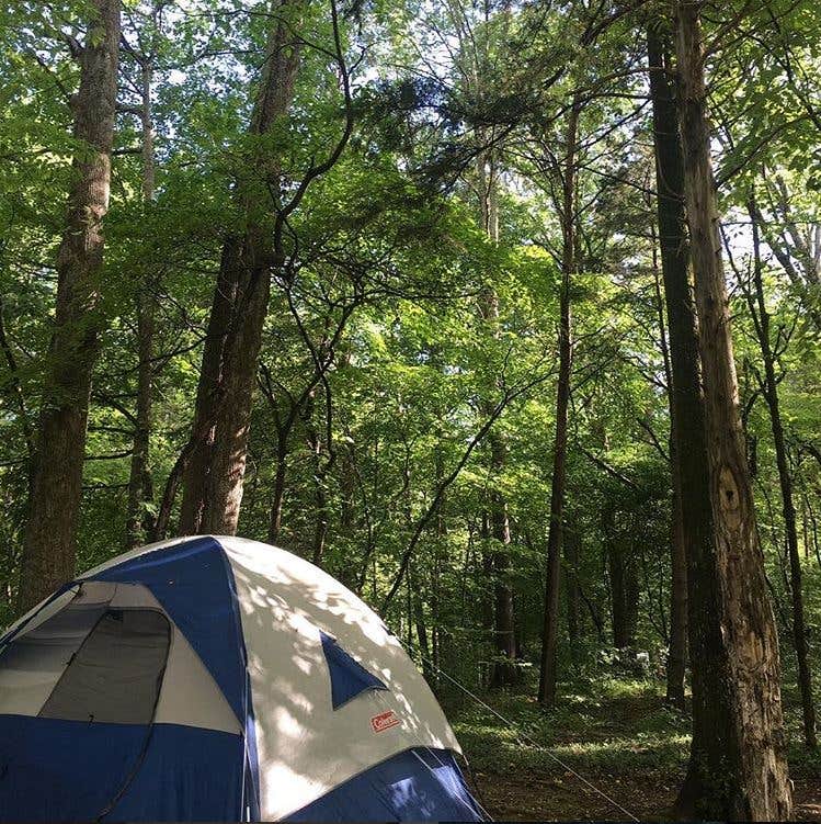 Meaghan B.'s photo at Rock Island State Park Campground near Smithville, TN