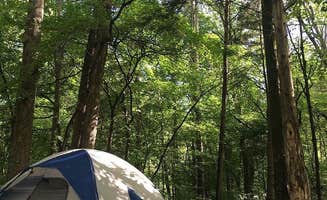 Meaghan B.'s photo at Rock Island State Park Campground near Pocahontas, TN