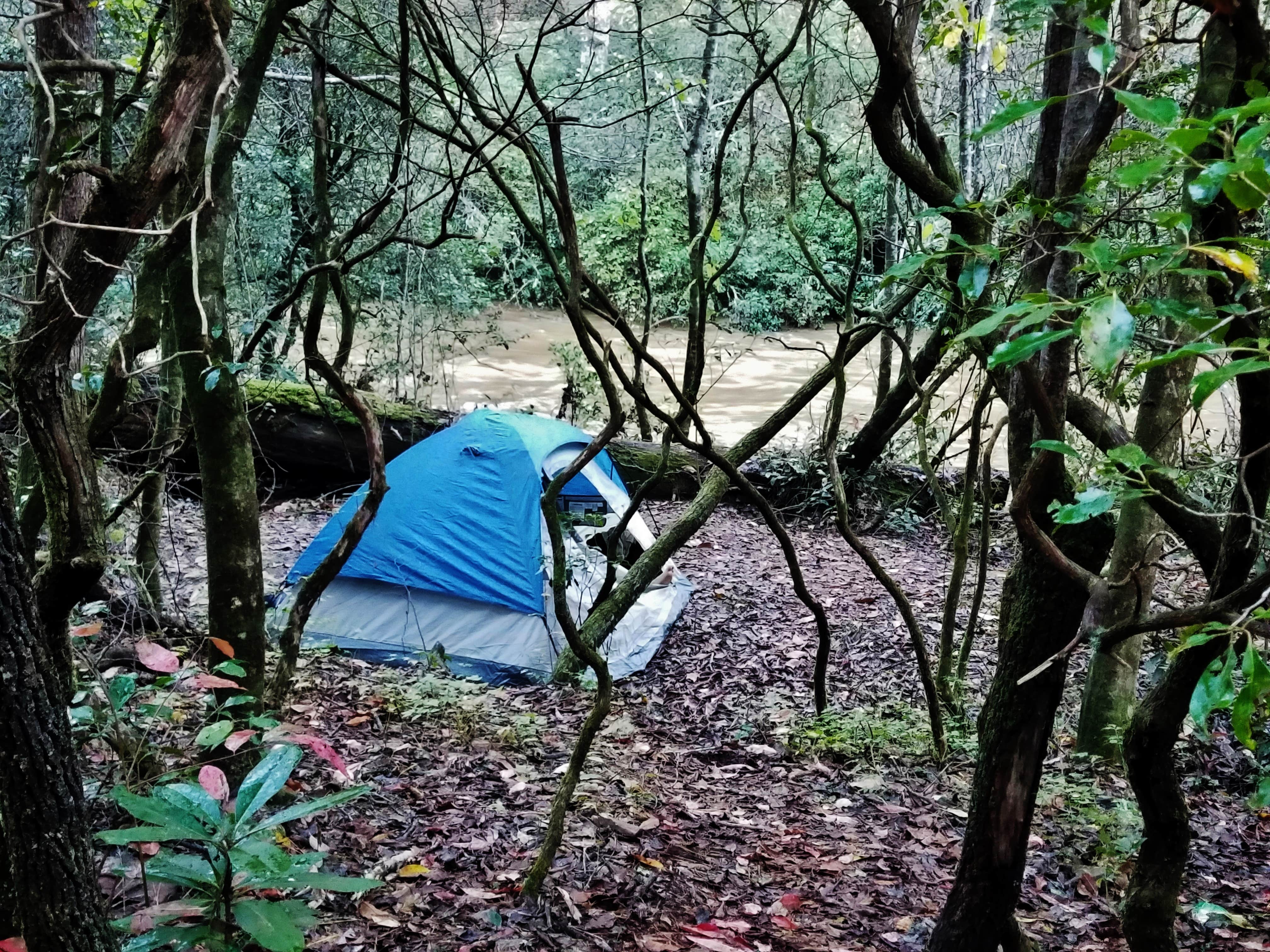 Myron C.'s photo of a dispersed camping area at Blackwell Bridge - Dispersed Camping near Glendale, SC