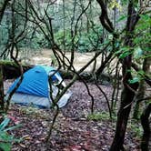 Review photo of Blackwell Bridge - Dispersed Camping by Myron C., October 31, 2020