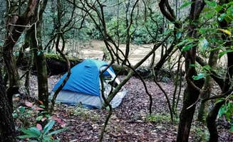 Myron C.'s photo of a dispersed camping area at Blackwell Bridge - Dispersed Camping near Anderson, SC