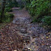 Review photo of Blackwell Bridge - Dispersed Camping by Myron C., October 31, 2020