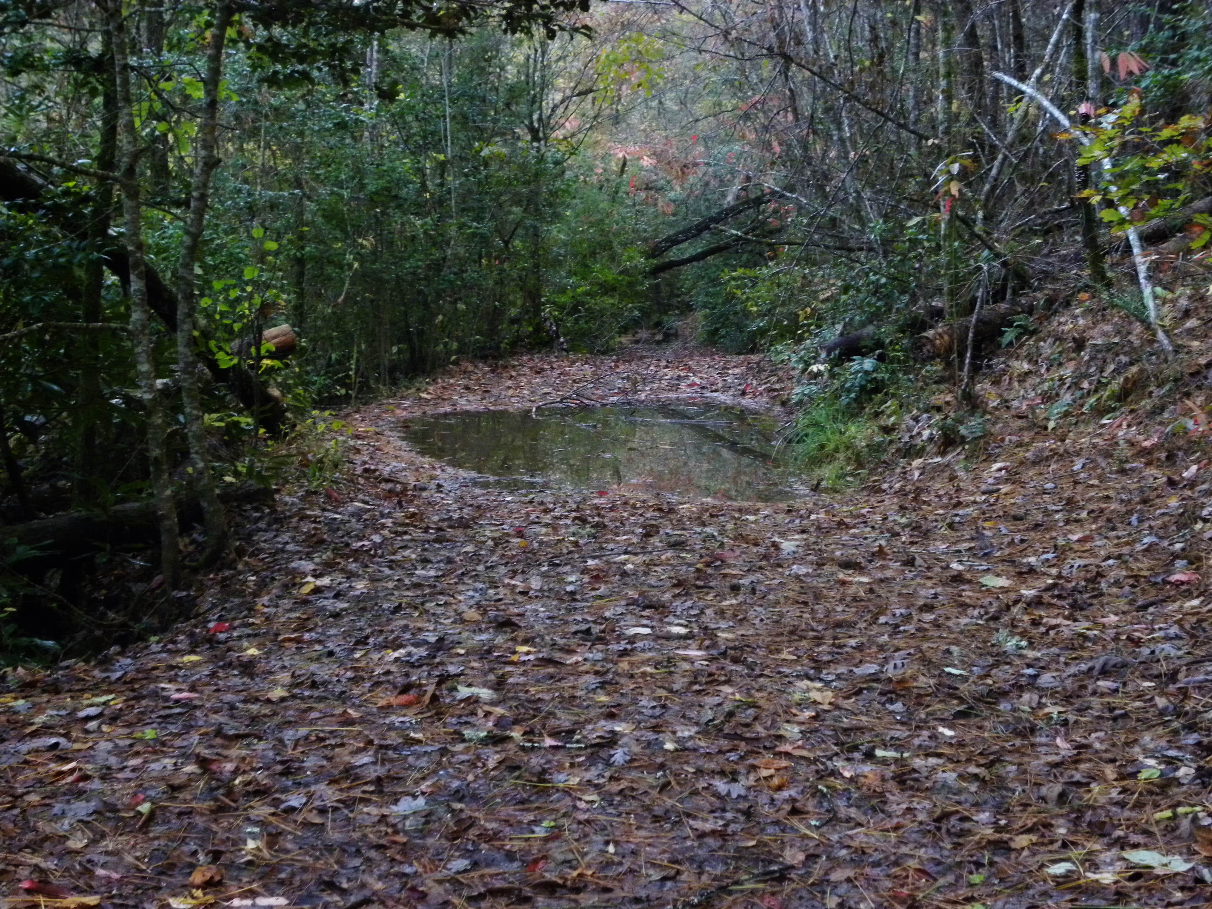 Camper submitted image from Blackwell Bridge - Dispersed Camping - 2