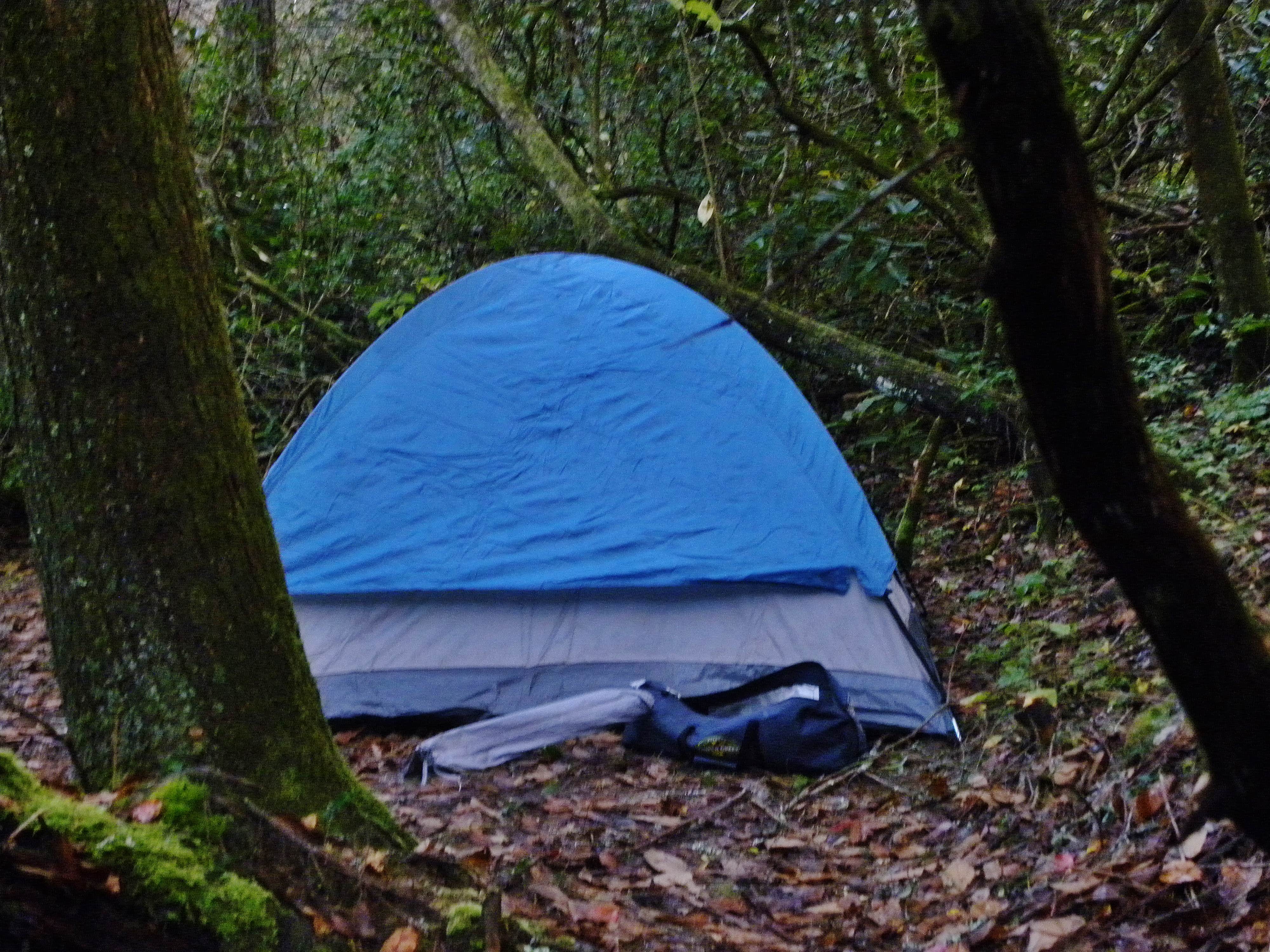 Camper-submitted photo at Blackwell Bridge - Dispersed Camping near Central, SC
