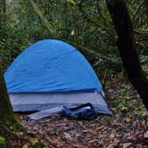 Review photo of Blackwell Bridge - Dispersed Camping by Myron C., October 31, 2020