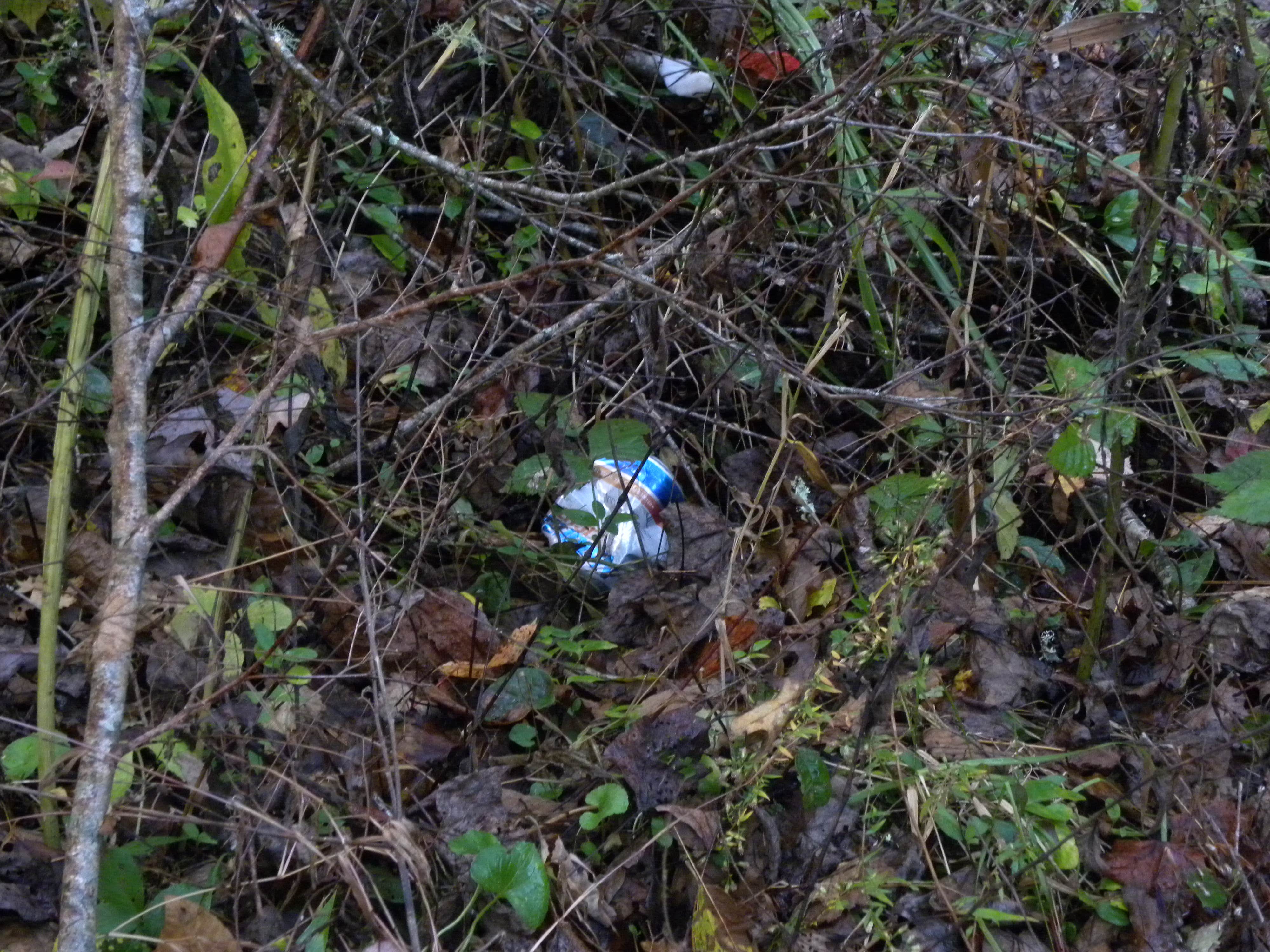 Camper-submitted photo at Blackwell Bridge - Dispersed Camping near Central, SC