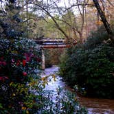 Review photo of Blackwell Bridge - Dispersed Camping by Myron C., October 31, 2020