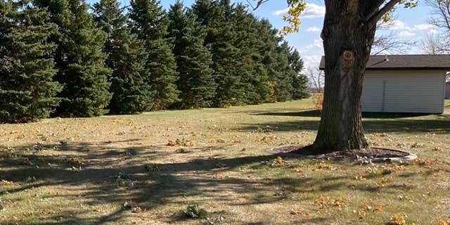 Camper submitted image from Arthur Park