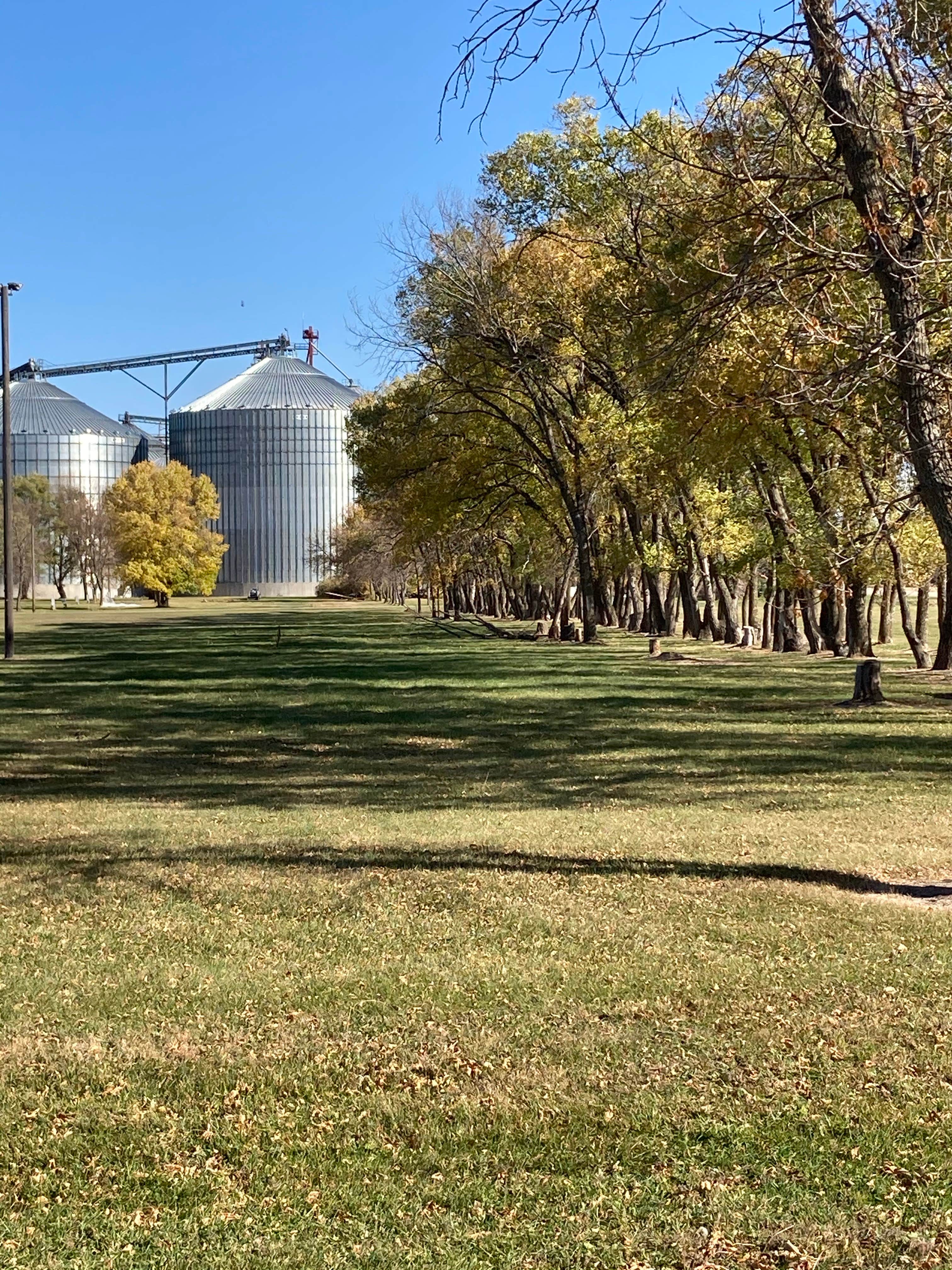 Camper-submitted photo at Galesburg City Campground near Hillsboro, ND