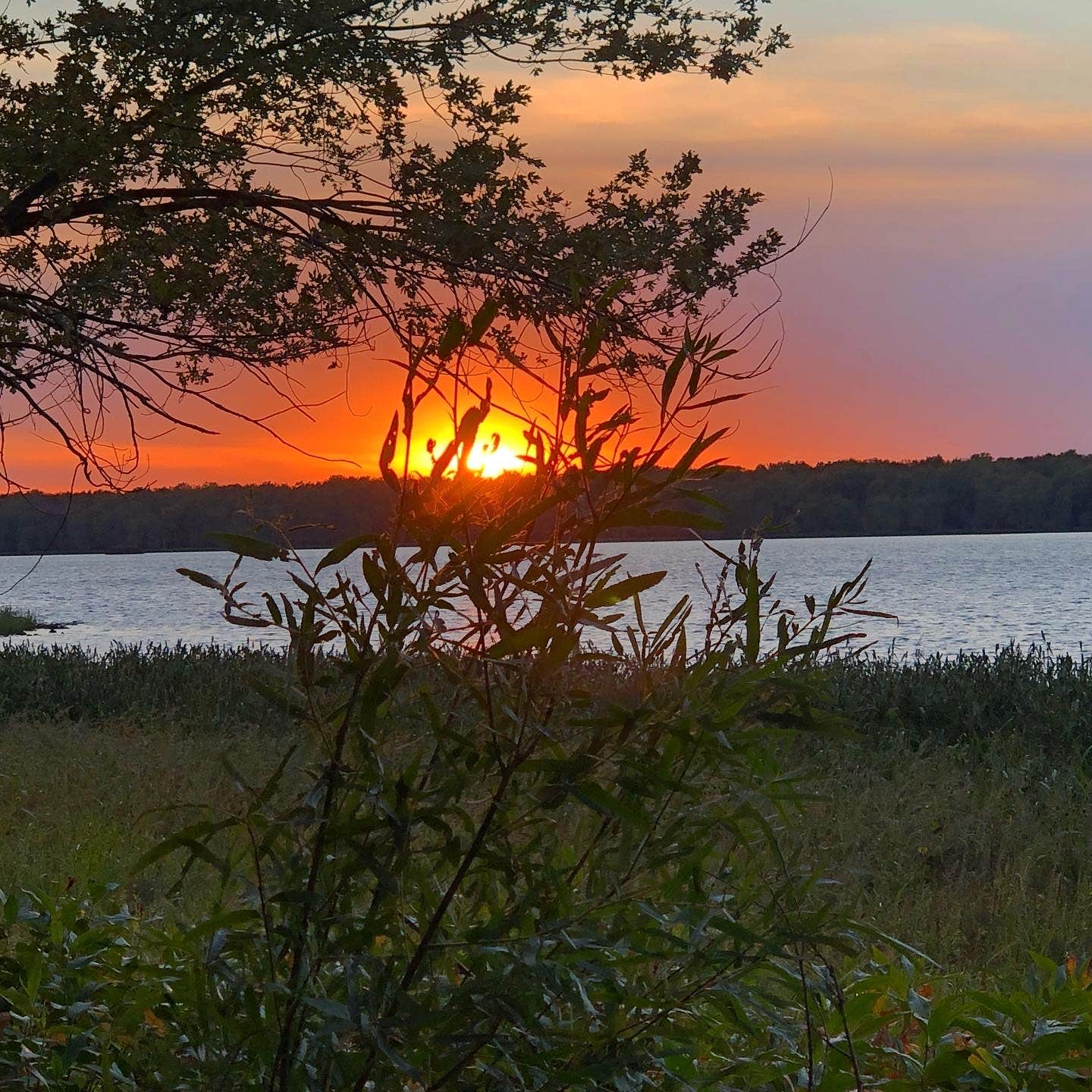 Escape to Nature's Embrace: Your Guide to Illinois Marshall State Fish & Wildlife Area