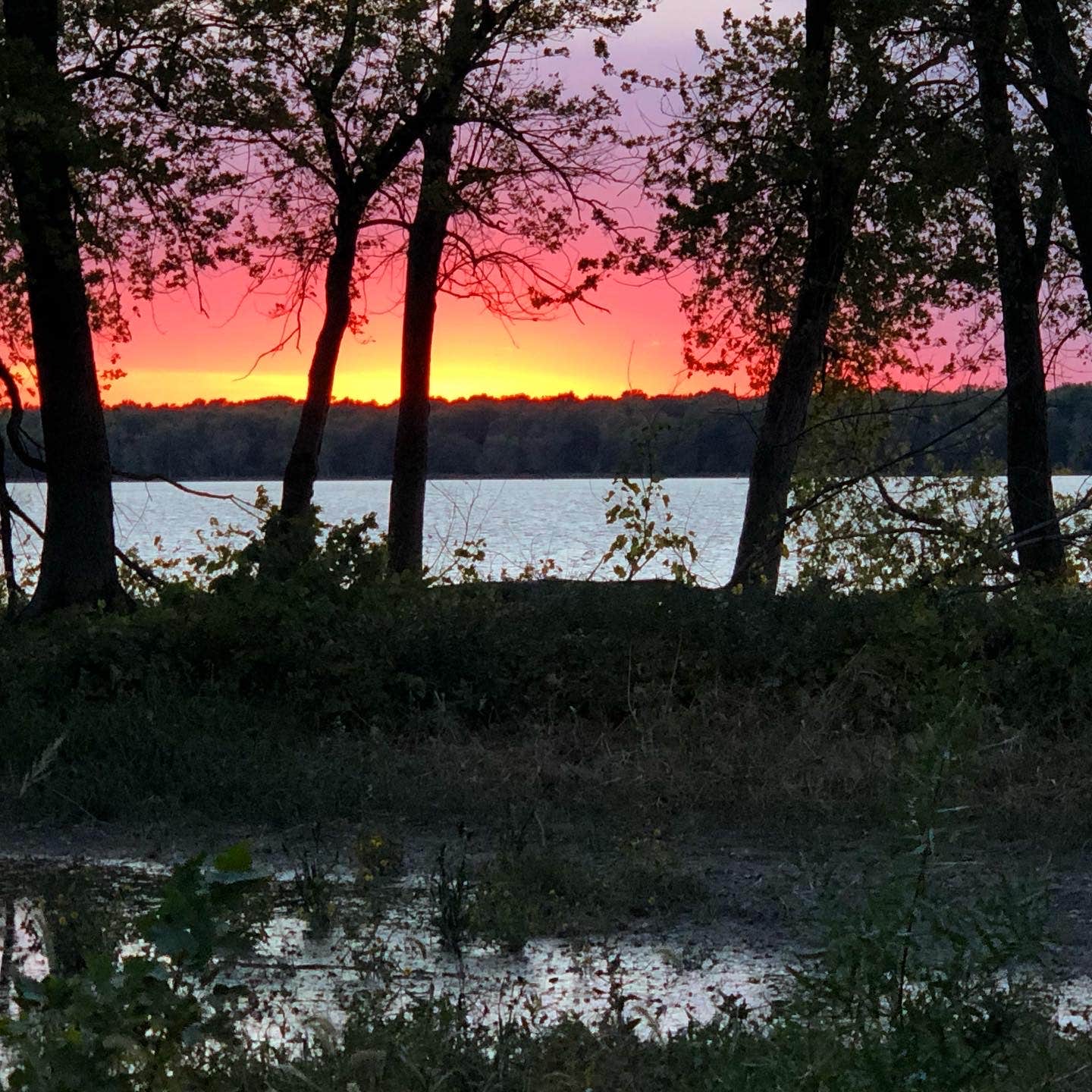 Camper submitted image from Marshall State Fish and Wildlife Area - 5