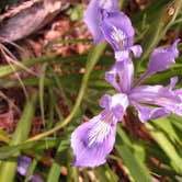 Review photo of Coast Campground — Point Reyes National Seashore by Michael I., May 22, 2018