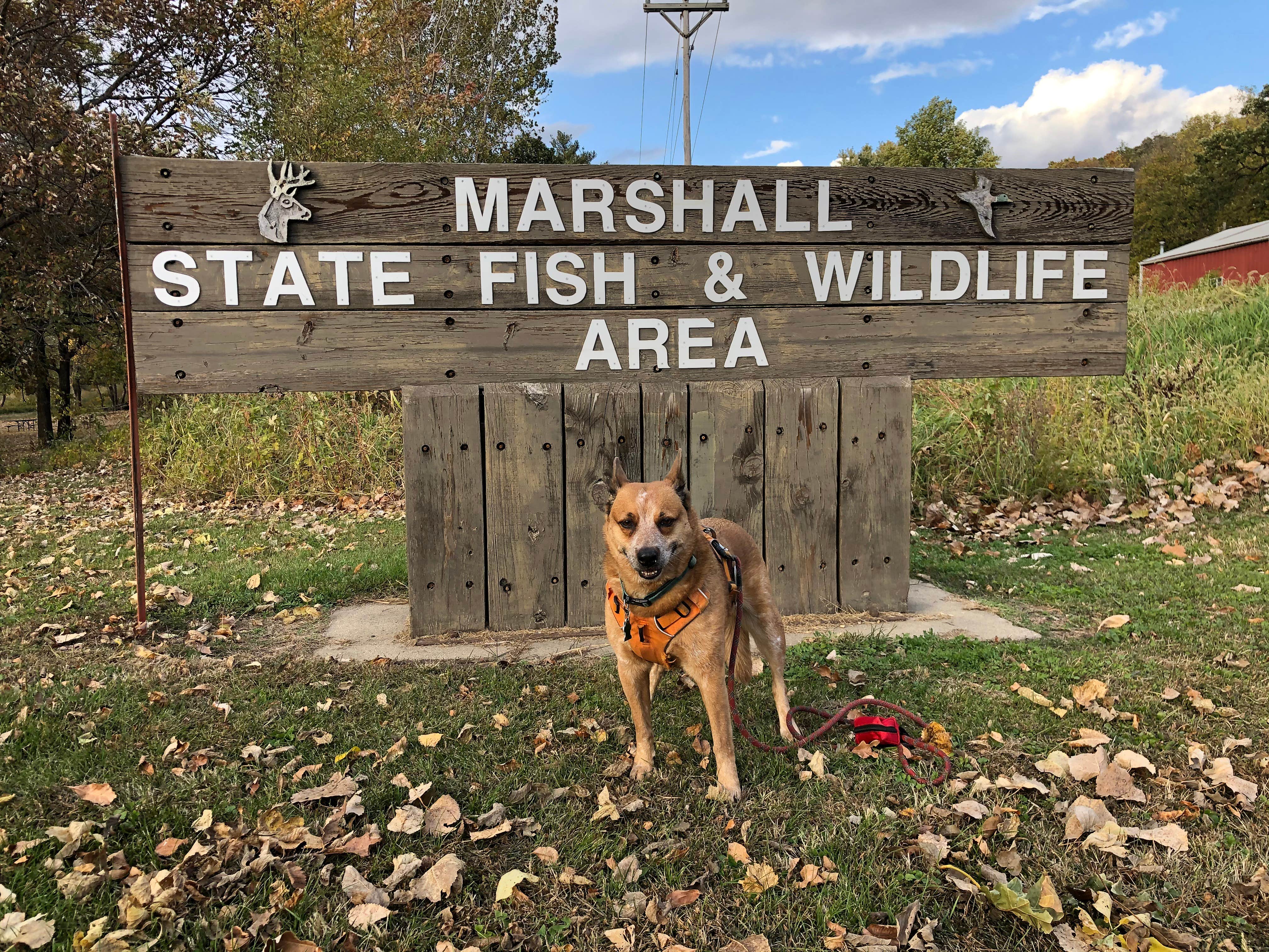 Camper submitted image from Marshall State Fish & Wildlife Area - 4