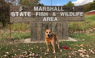 Art S.'s photo of camping with pets at Marshall State Fish and Wildlife Area near Peoria, IL