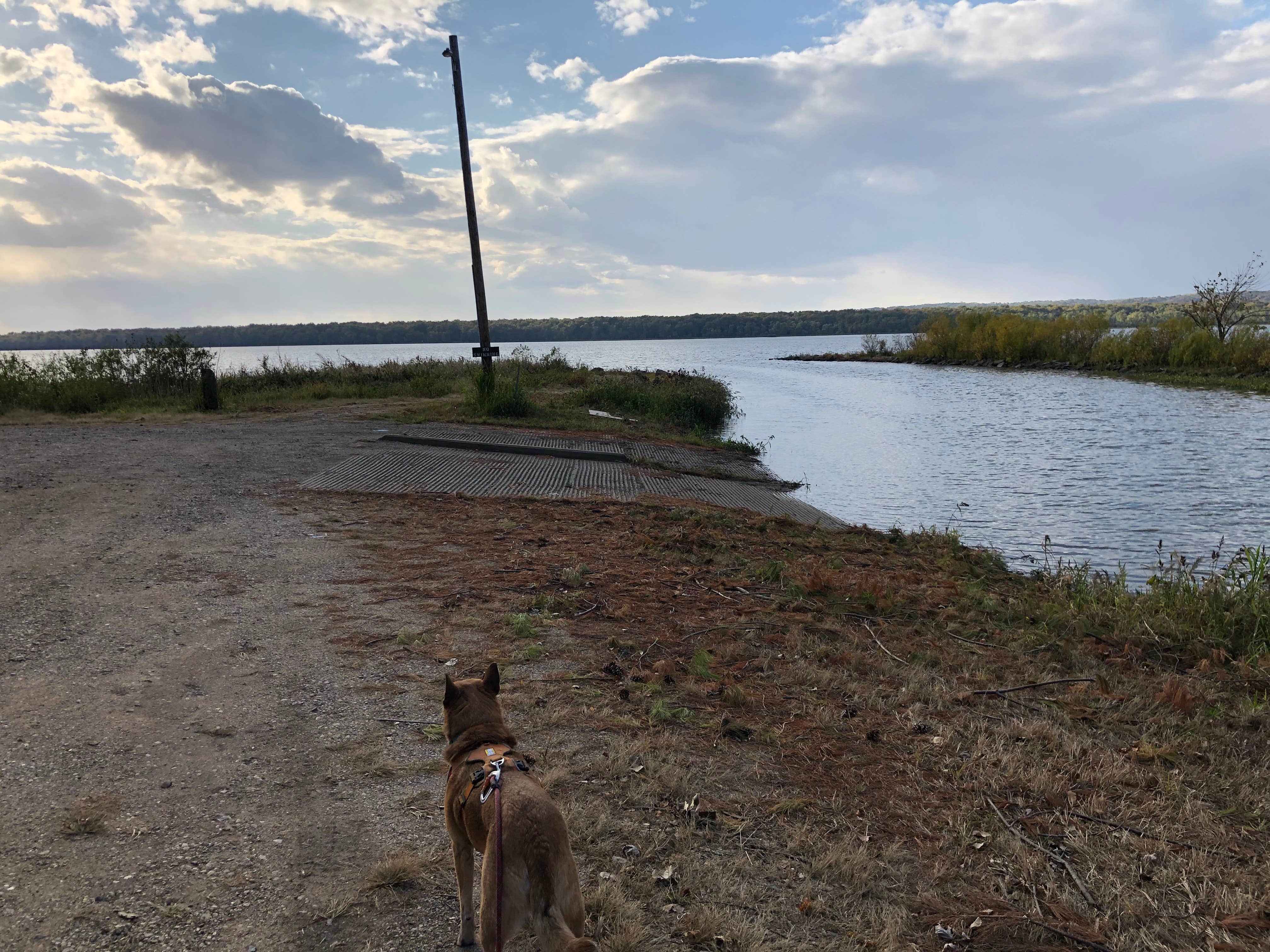 Camper-submitted photo at Marshall State Fish and Wildlife Area near Chillicothe, IL