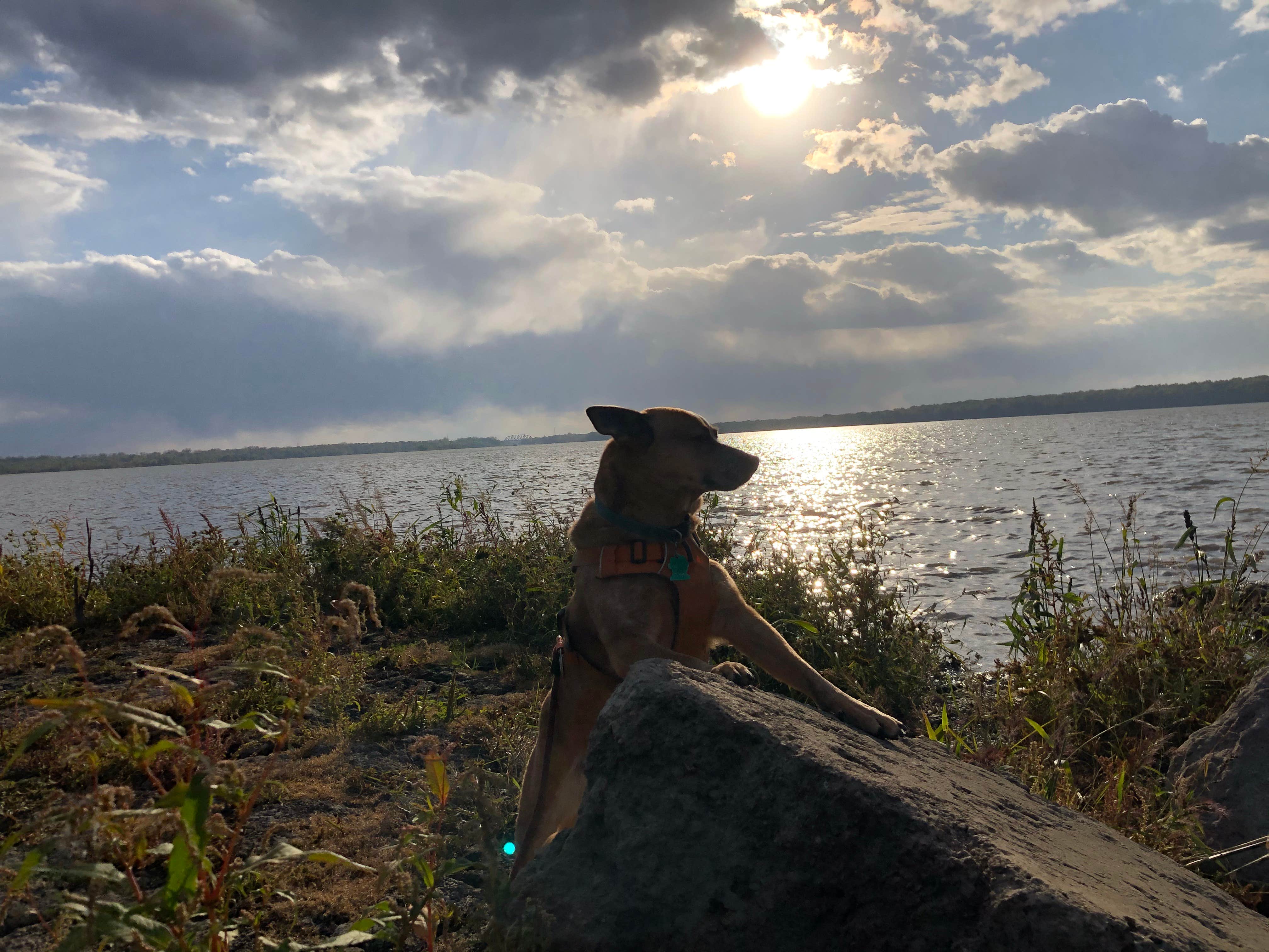 Camper-submitted photo at Marshall State Fish and Wildlife Area near Chillicothe, IL