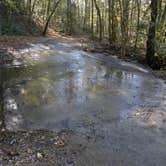 Review photo of Cassidy Bridge Hunt Camp by Myron C., October 31, 2020