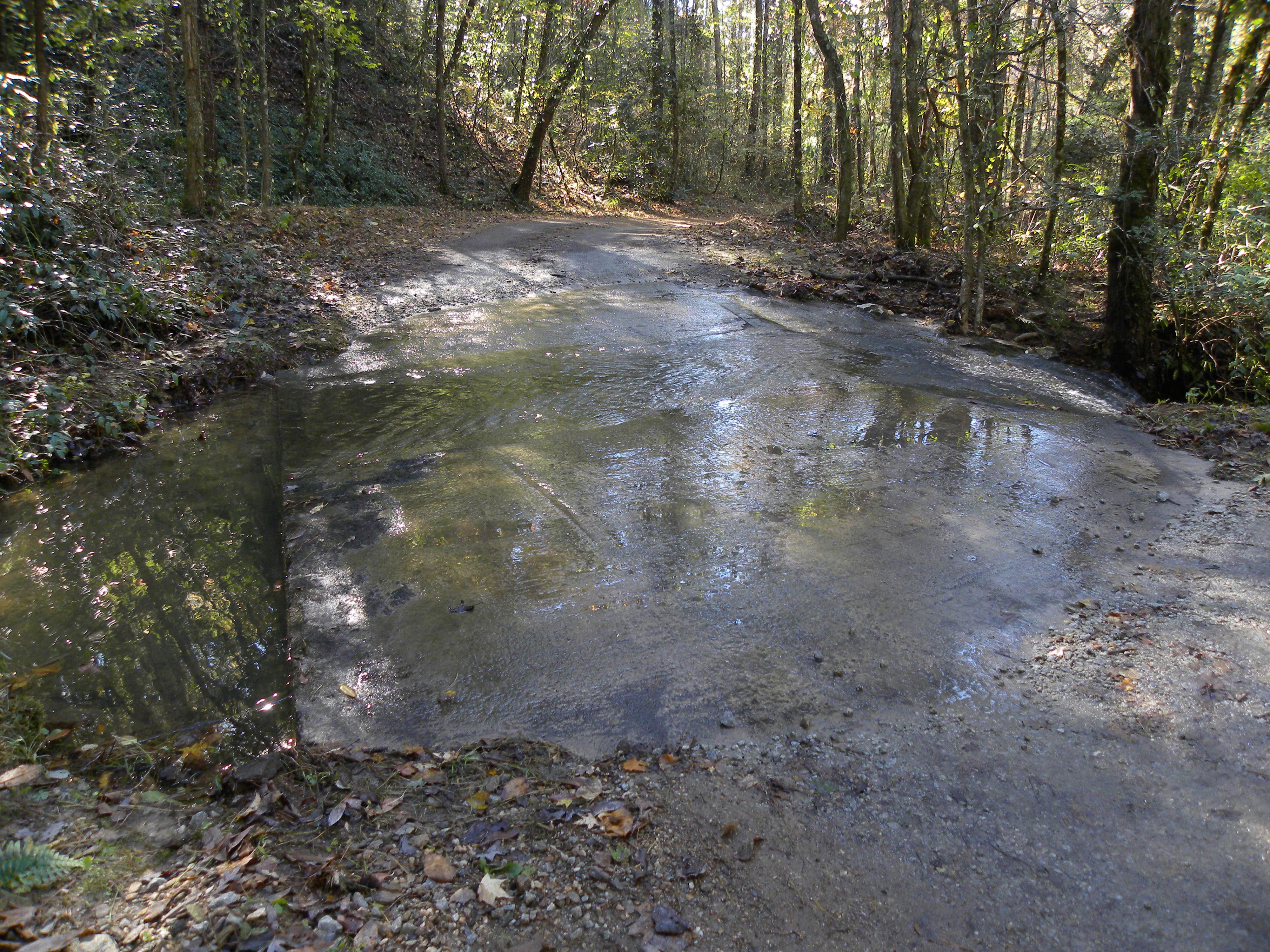 Camper submitted image from Cassidy Bridge Hunt Camp - 5