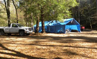 Myron C.'s photo at Cassidy Bridge Hunt Camp near Walhalla, SC