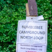 Review photo of Bumblebee Campground by Amy S., October 31, 2020