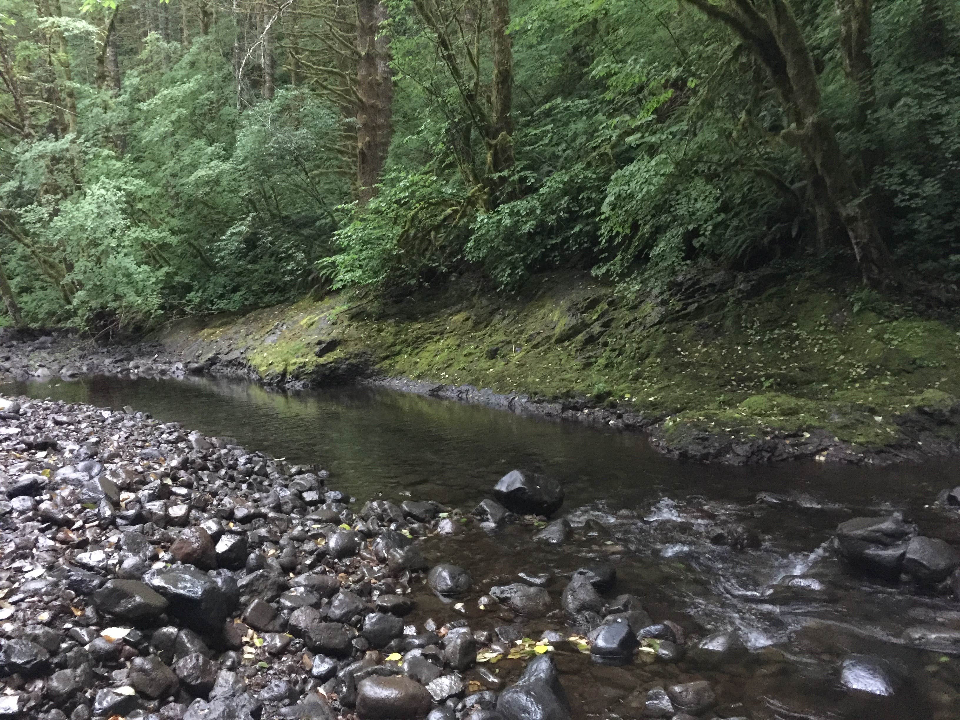 Camper submitted image from Elk Creek Campground - 4