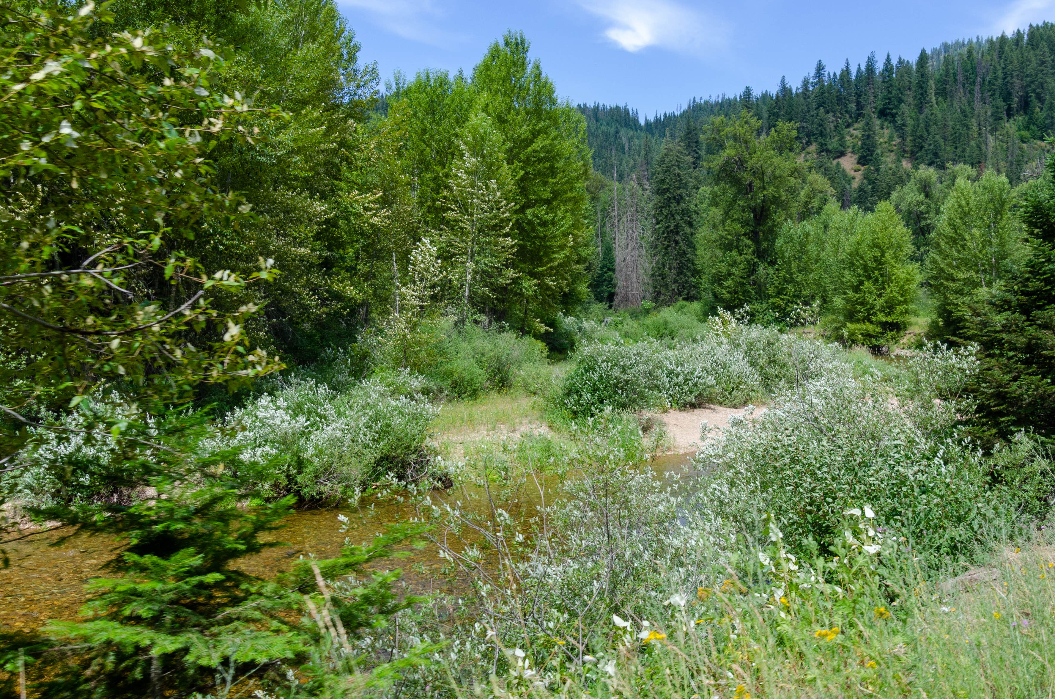 Camper-submitted photo at Bumblebee Campground near Wallace, ID