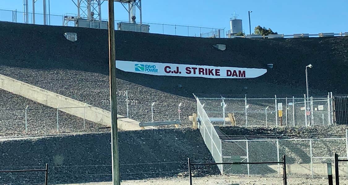 Cove at CJ Strike Reservoir The Dyrt