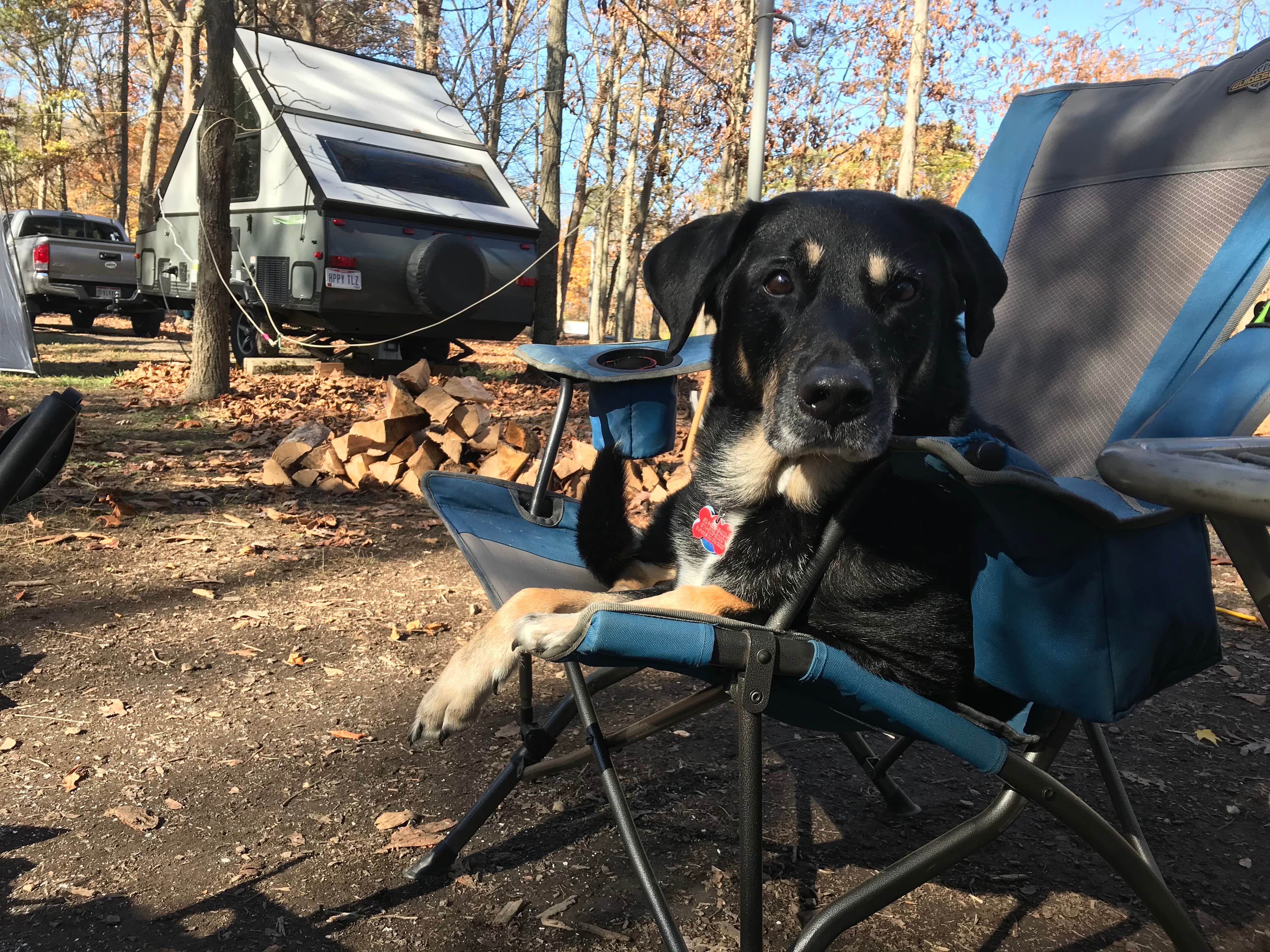 Shannon G.'s photo at A.W. Marion State Park Campground near Washington Court House, OH