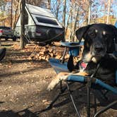 Review photo of A.W. Marion State Park Campground by Shannon G., October 31, 2020