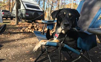 Shannon G.'s photo at A.W. Marion State Park Campground near Washington Court House, OH