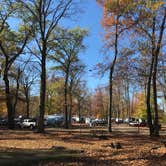 Review photo of A.W. Marion State Park Campground by Shannon G., October 31, 2020