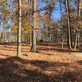 Review photo of A.W. Marion State Park Campground by Shannon G., October 31, 2020