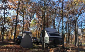 Shannon G.'s photo at A.W. Marion State Park Campground near Paint Creek Lake