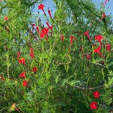 Review photo of McDowell Nature Preserve by Mary H., October 31, 2020