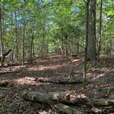 Review photo of McDowell Nature Preserve by Mary H., October 31, 2020