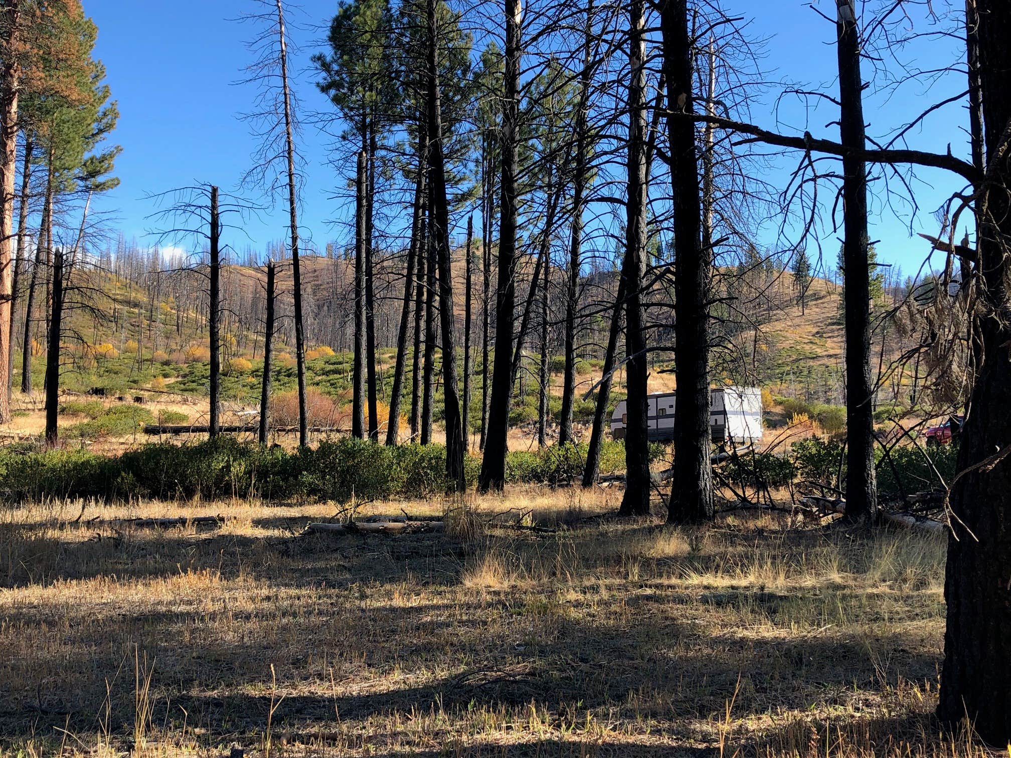 Camper-submitted photo at Ice Springs near Corral, ID
