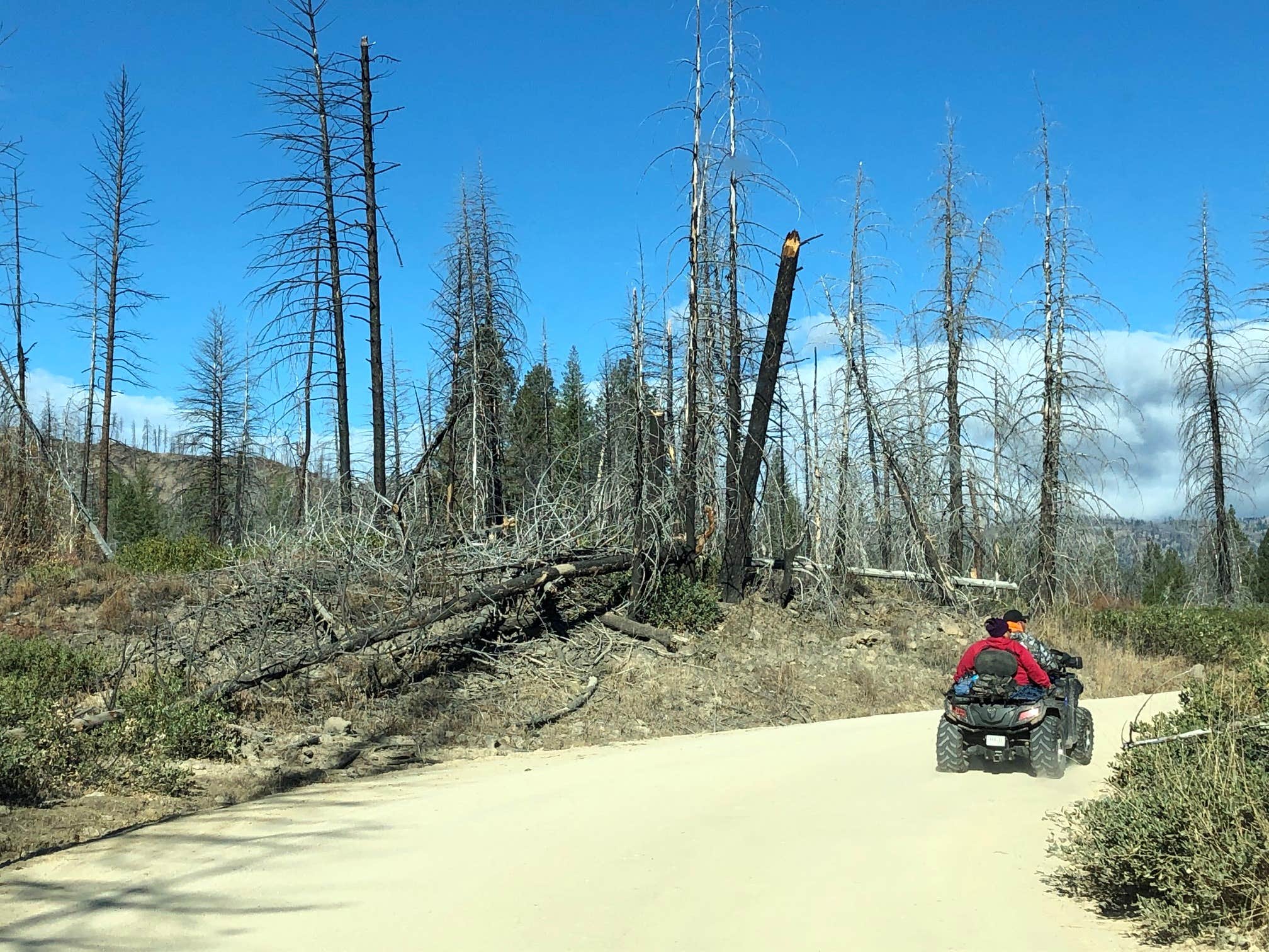 Camper-submitted photo at Ice Springs near Corral, ID