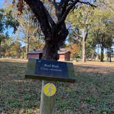 Review photo of Oak Grove - John W. Kyle State Park by Steve G., October 31, 2020