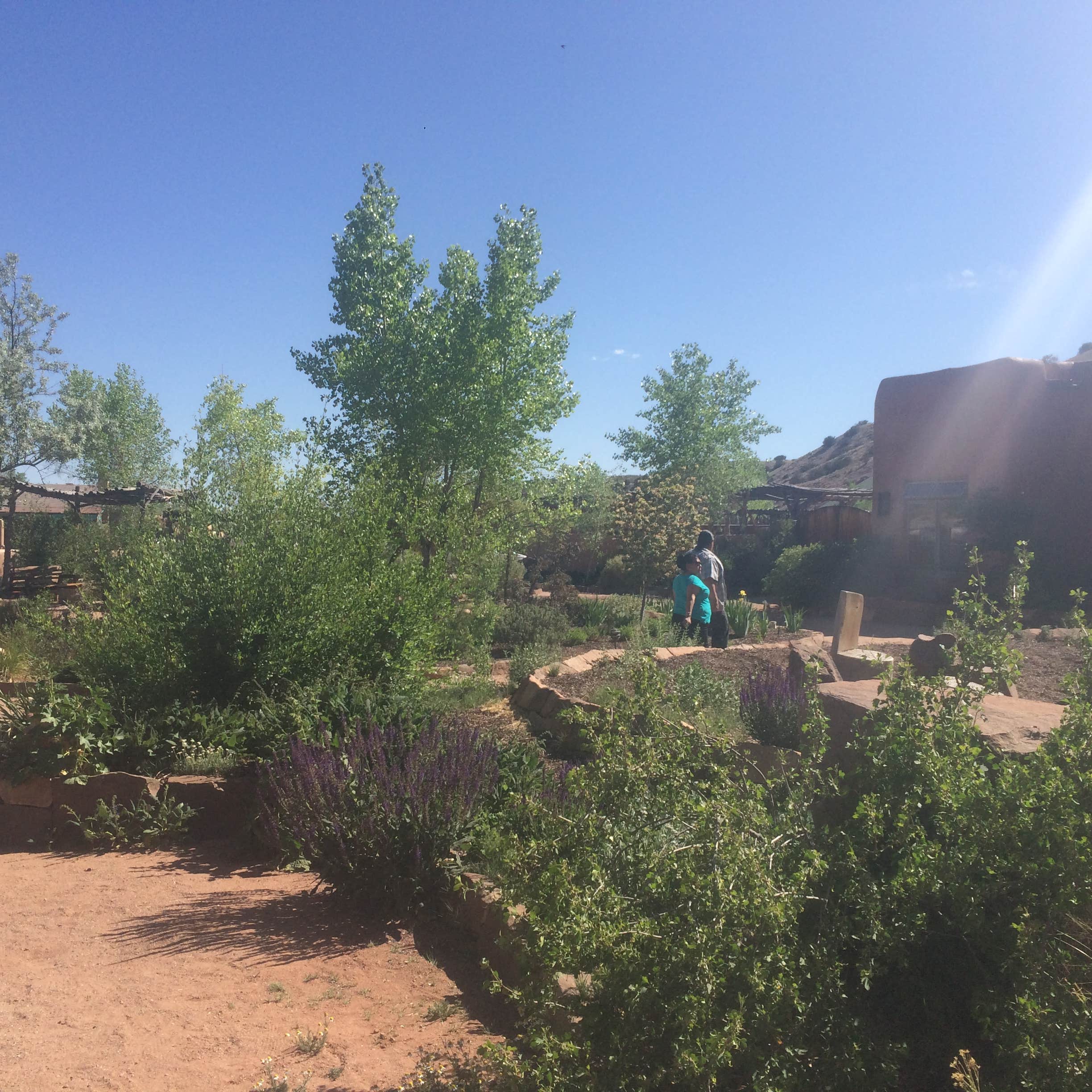 Escape to Enchantment: Unveiling the Magic of New Mexico's Juniper Campground