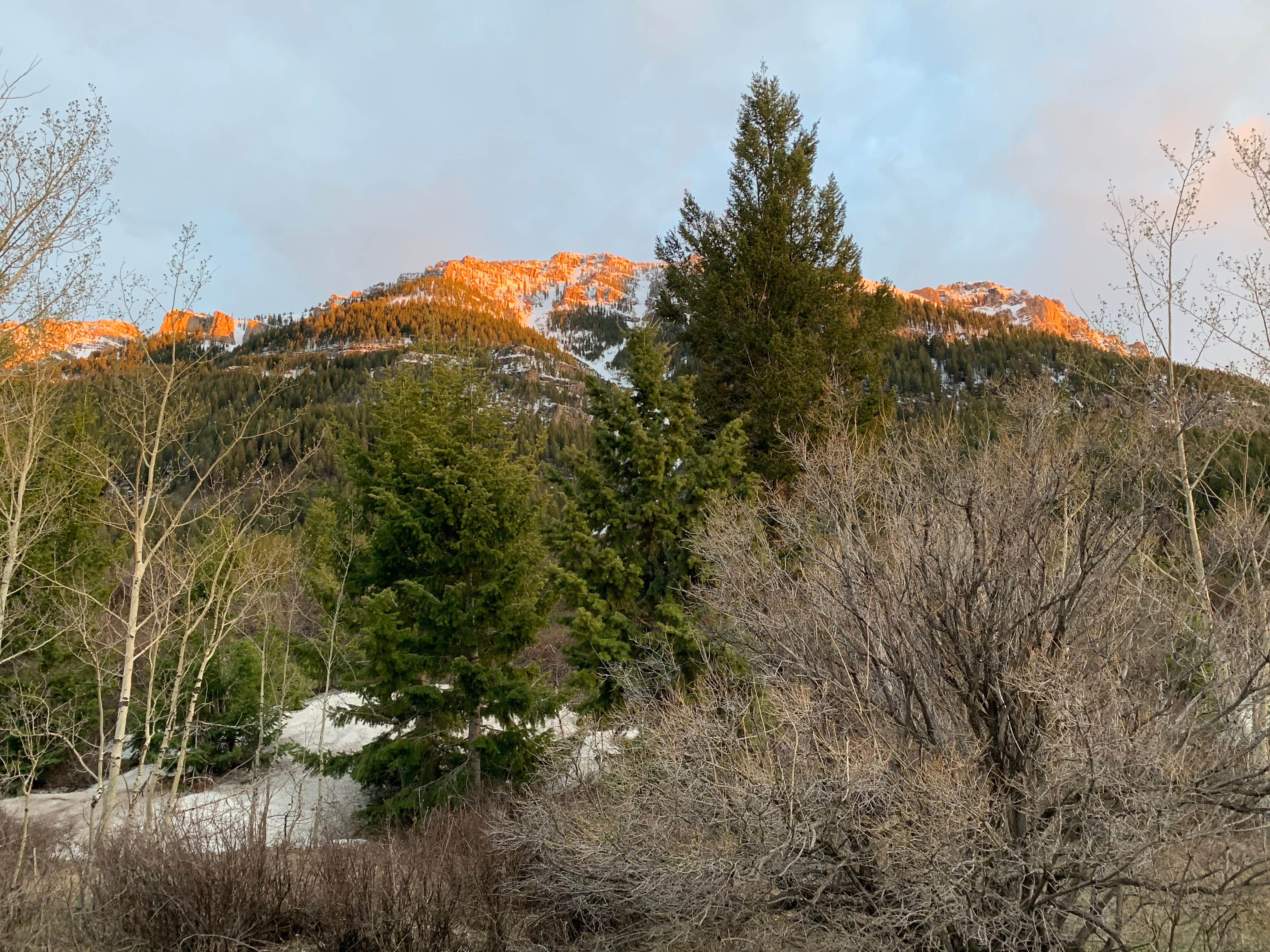 Camper-submitted photo at Upper Lake Campground near Spencer, ID